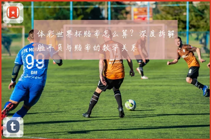 体彩世界杯赔率怎么算？深度拆解胜平负与赔率的数学关系