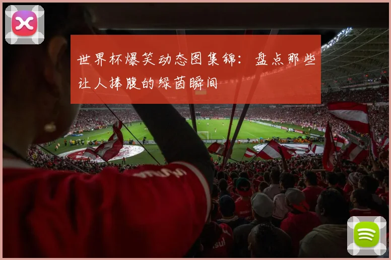 世界杯爆笑动态图集锦：盘点那些让人捧腹的绿茵瞬间