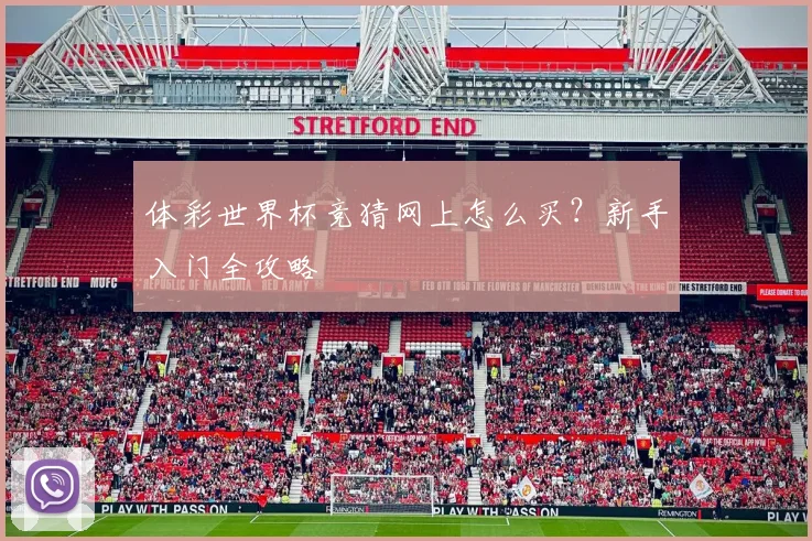 体彩世界杯竞猜网上怎么买？新手入门全攻略
