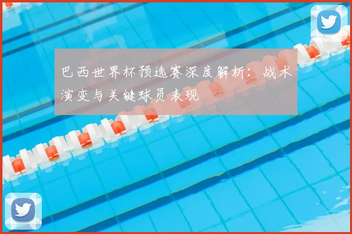 巴西世界杯预选赛深度解析:战术演变与关键球员表现