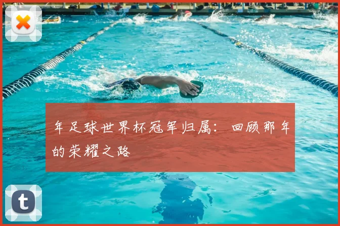 年足球世界杯冠军归属：回顾那年的荣耀之路