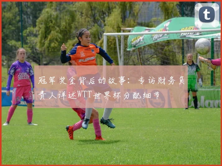 冠军奖金背后的故事:专访财务负责人详述WTT世界杯分配细节