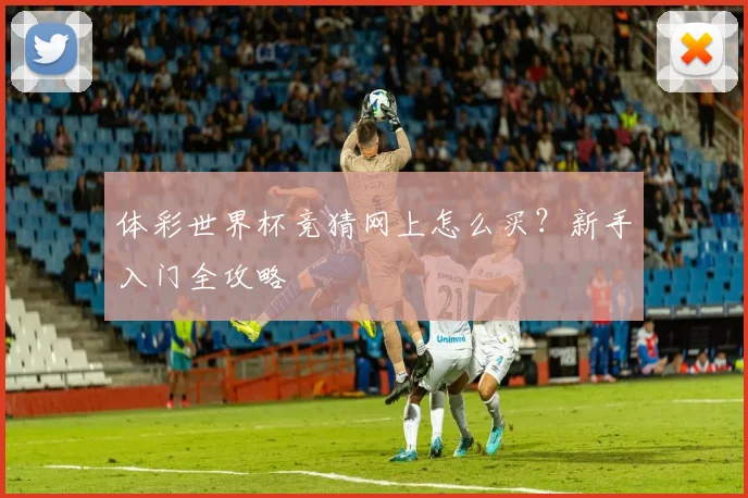 体彩世界杯竞猜网上怎么买？新手入门全攻略