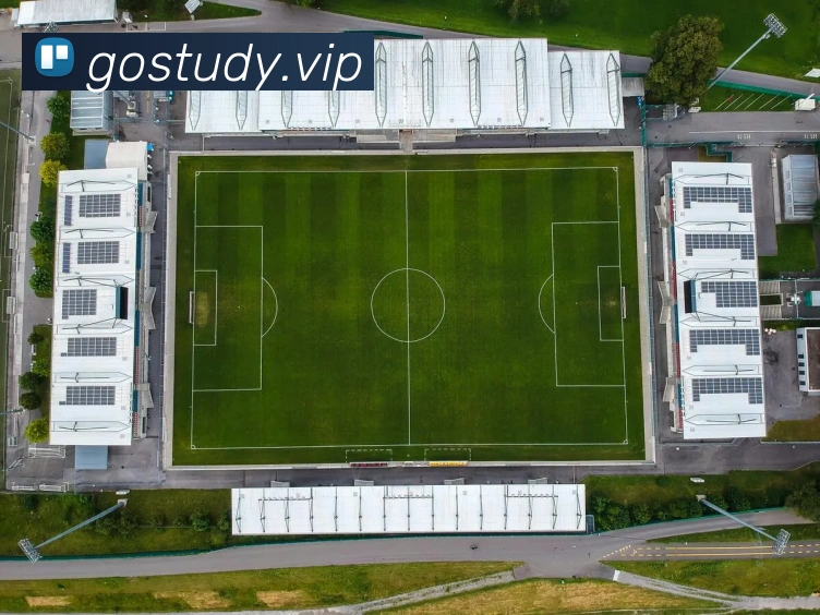 beat365唯一官网服务体系